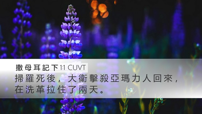 撒 母 耳 記 下 1:1 CUVT Desktop Wallpaper - 掃 羅 死 後 ， 大 衛 擊 殺 亞 瑪 力 - Desktop Bible Verse Wallpaper