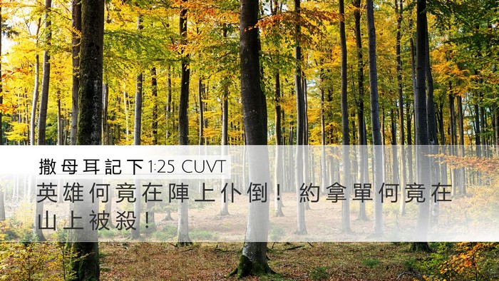 撒 母 耳 記 下 1:25 CUVT Desktop Wallpaper - 英 雄 何 竟 在 陣 上 仆 倒 ！ 約 拿 - Desktop Bible Verse Wallpaper
