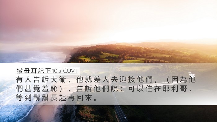 撒 母 耳 記 下 10:5 CUVT Desktop Wallpaper - 有 人 告 訴 大 衛 ， 他 就 差 人 去 - Desktop Bible Verse Wallpaper