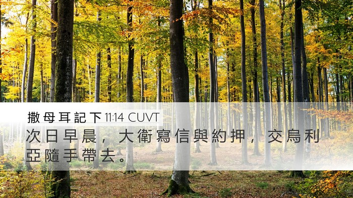 撒 母 耳 記 下 11:14 CUVT Desktop Wallpaper - 次 日 早 晨 ， 大 衛 寫 信 與 約 押 - Desktop Bible Verse Wallpaper