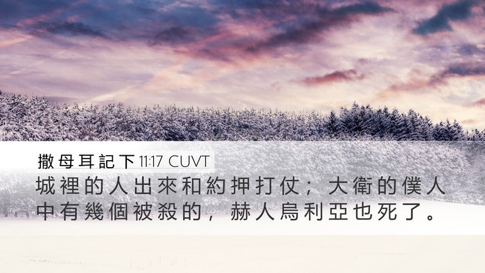 撒 母 耳 記 下 11:17 CUVT Desktop Wallpaper - 城 裡 的 人 出 來 和 約 押 打 仗 ； - Desktop Bible Verse Wallpaper