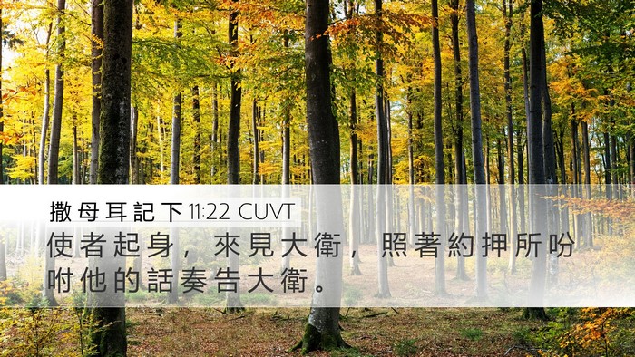 撒 母 耳 記 下 11:22 CUVT Desktop Wallpaper - 使 者 起 身 ， 來 見 大 衛 ， 照 著 - Desktop Bible Verse Wallpaper