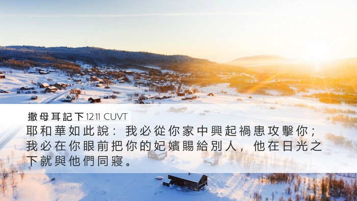 撒 母 耳 記 下 12:11 CUVT Bible Verse Image
