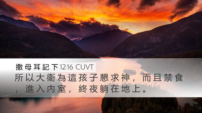 撒 母 耳 記 下 12:16 CUVT Bible Verse Image