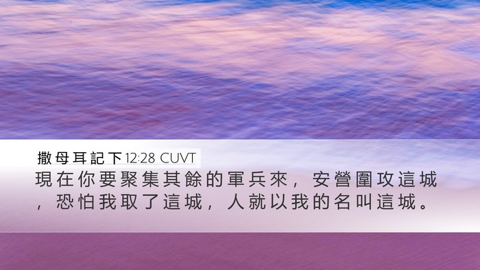 撒 母 耳 記 下 12:28 CUVT Bible Verse Image