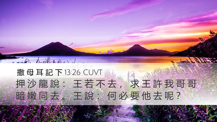撒 母 耳 記 下 13:26 CUVT Desktop Wallpaper - 押 沙 龍 說 ： 王 若 不 去 ， 求 王 - Desktop Bible Verse Wallpaper