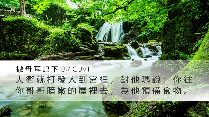 撒 母 耳 記 下 13:7 CUVT Desktop Wallpaper - 大 衛 就 打 發 人 到 宮 裡 ， 對 他 - Desktop Bible Verse Wallpaper
