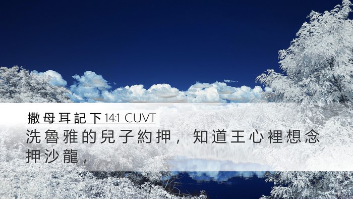 撒 母 耳 記 下 14:1 CUVT Desktop Wallpaper - 洗 魯 雅 的 兒 子 約 押 ， 知 道 王 - Desktop Bible Verse Wallpaper