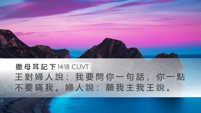 撒 母 耳 記 下 14:18 CUVT Desktop Wallpaper - 王 對 婦 人 說 ： 我 要 問 你 一 句 - Desktop Bible Verse Wallpaper