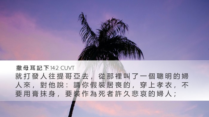 撒 母 耳 記 下 14:2 CUVT Bible Verse Image