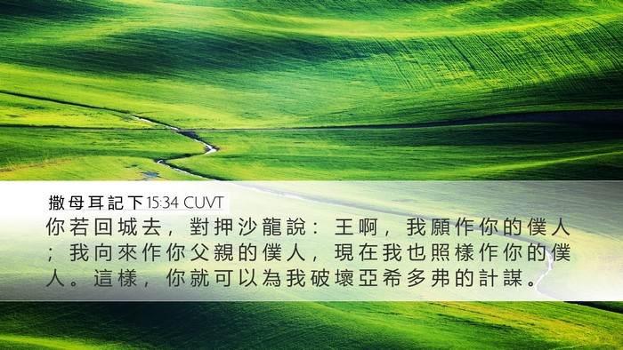 撒 母 耳 記 下 15:34 CUVT Bible Verse Image