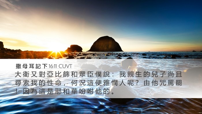 撒 母 耳 記 下 16:11 CUVT Bible Verse Image