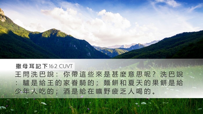 撒 母 耳 記 下 16:2 CUVT Desktop Wallpaper - 王 問 洗 巴 說 ： 你 帶 這 些 來 是 - Desktop Bible Verse Wallpaper