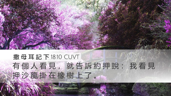 撒 母 耳 記 下 18:10 CUVT Desktop Wallpaper - 有 個 人 看 見 ， 就 告 訴 約 押 說 - Desktop Bible Verse Wallpaper
