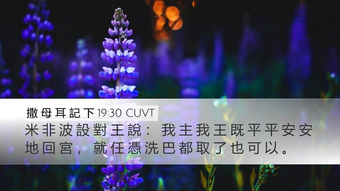 撒 母 耳 記 下 19:30 CUVT Bible Verse Image