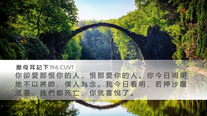 撒 母 耳 記 下 19:6 CUVT Desktop Wallpaper - 你 卻 愛 那 恨 你 的 人 ， 恨 那 愛 - Desktop Bible Verse Wallpaper