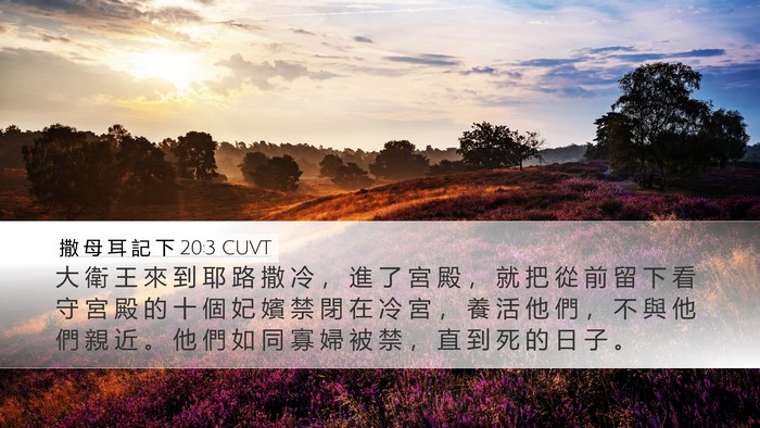 撒 母 耳 記 下 20:3 CUVT Bible Verse Image