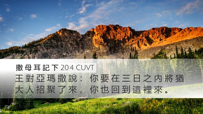 撒 母 耳 記 下 20:4 CUVT Bible Verse Image