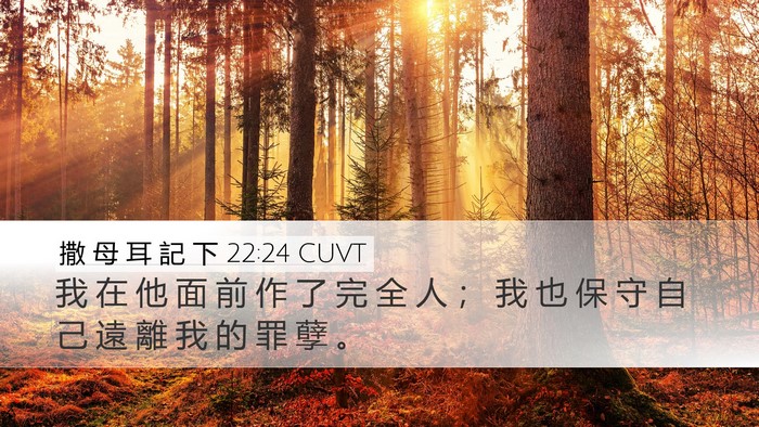 撒 母 耳 記 下 22:24 CUVT Desktop Wallpaper - 我 在 他 面 前 作 了 完 全 人 ； 我 - Desktop Bible Verse Wallpaper