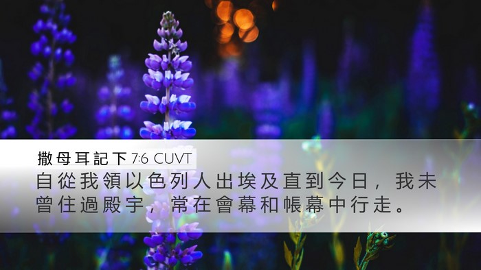 撒 母 耳 記 下 7:6 CUVT Desktop Wallpaper - 自 從 我 領 以 色 列 人 出 埃 及 直 - Desktop Bible Verse Wallpaper