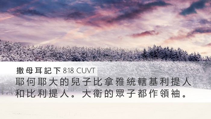 撒 母 耳 記 下 8:18 CUVT Bible Verse Image