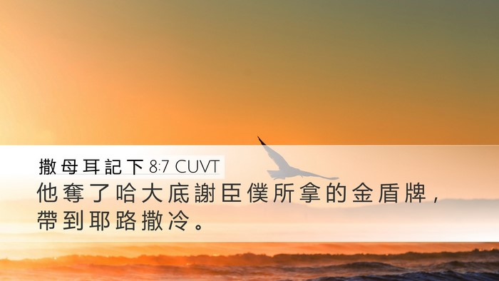 撒 母 耳 記 下 8:7 CUVT Bible Verse Image