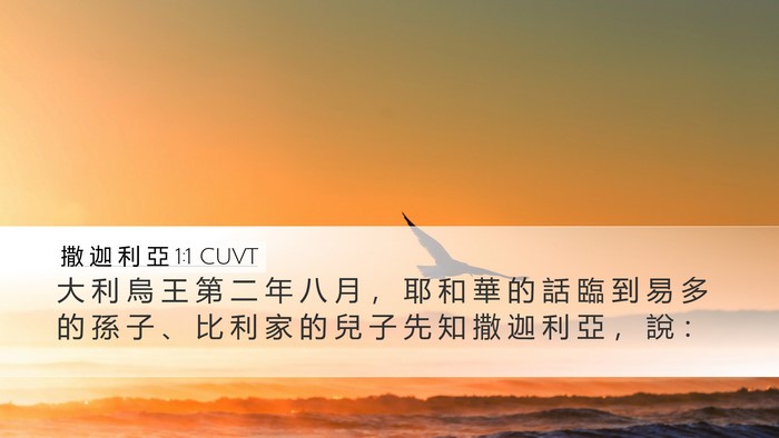 撒 迦 利 亞 1:1 CUVT Desktop Wallpaper - 大 利 烏 王 第 二 年 八 月 ， 耶 和 - Desktop Bible Verse Wallpaper