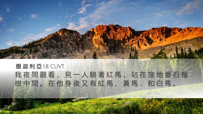撒 迦 利 亞 1:8 CUVT Bible Verse Image