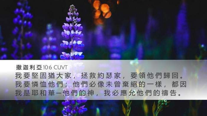 撒 迦 利 亞 10:6 CUVT Bible Verse Image