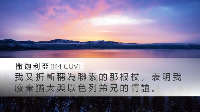 撒 迦 利 亞 11:14 CUVT Bible Verse Image