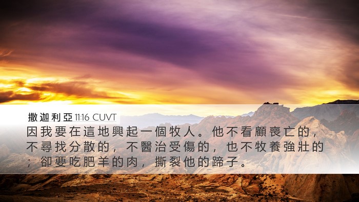 撒 迦 利 亞 11:16 CUVT Bible Verse Image