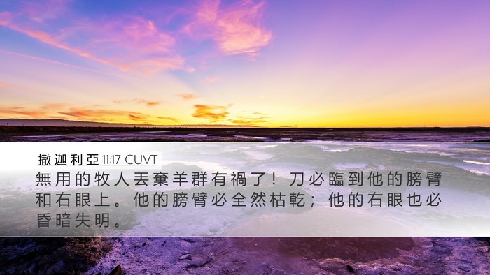 撒 迦 利 亞 11:17 CUVT Bible Verse Image