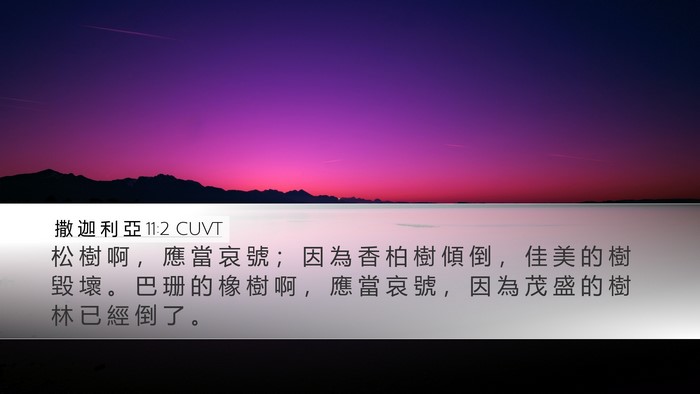 撒 迦 利 亞 11:2 CUVT Bible Verse Image