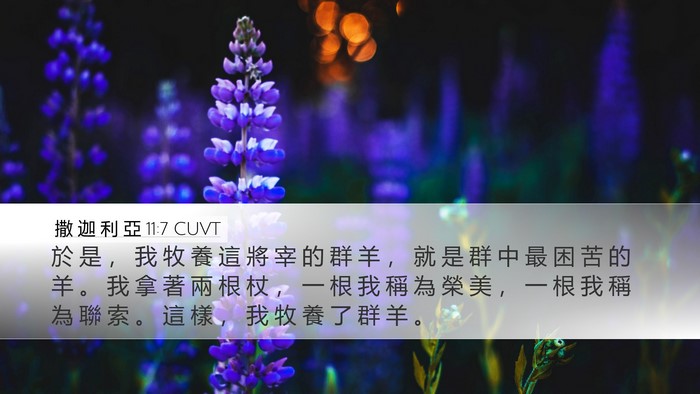 撒 迦 利 亞 11:7 CUVT Bible Verse Image