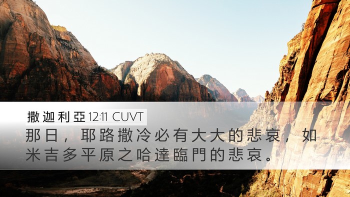 撒 迦 利 亞 12:11 CUVT Bible Verse Image