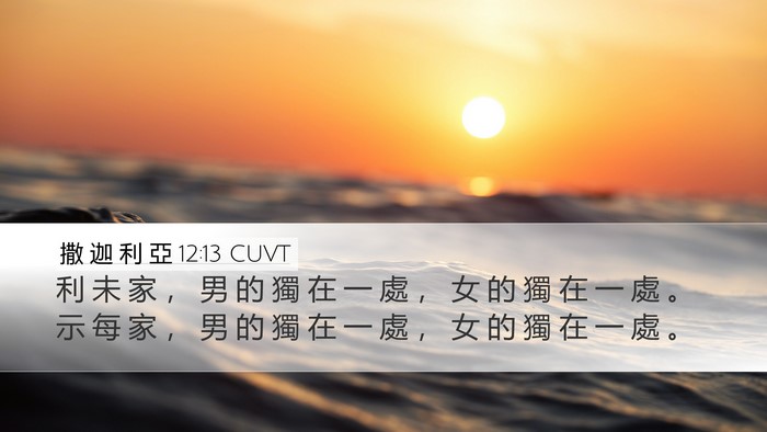 撒 迦 利 亞 12:13 CUVT Bible Verse Image