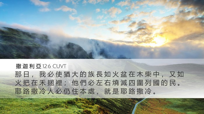 撒 迦 利 亞 12:6 CUVT Bible Verse Image
