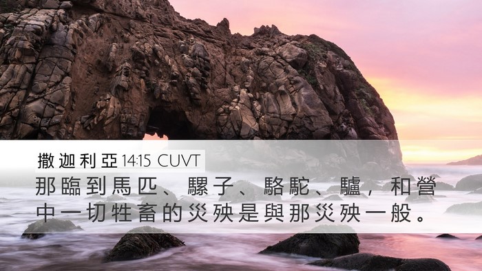撒 迦 利 亞 14:15 CUVT Bible Verse Image