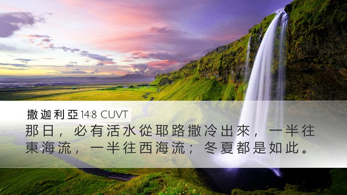 撒 迦 利 亞 14:8 CUVT Bible Verse Image