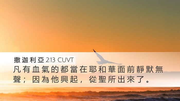 撒 迦 利 亞 2:13 CUVT Bible Verse Image