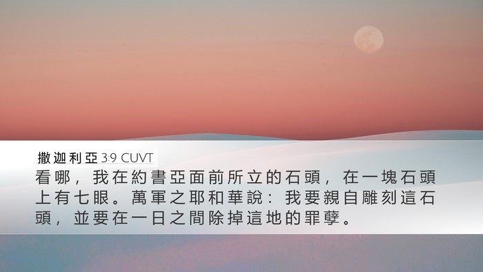 撒 迦 利 亞 3:9 CUVT Bible Verse Image