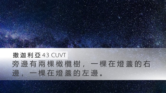 撒 迦 利 亞 4:3 CUVT Desktop Wallpaper - 旁 邊 有 兩 棵 橄 欖 樹 ， 一 棵 在 - Desktop Bible Verse Wallpaper