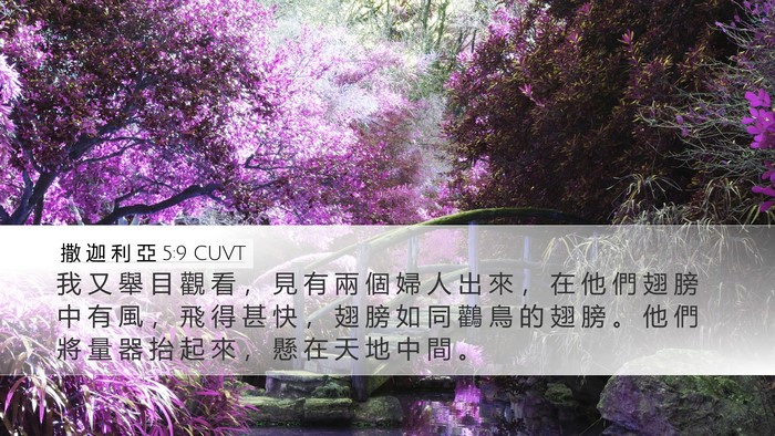 撒 迦 利 亞 5:9 CUVT Bible Verse Image