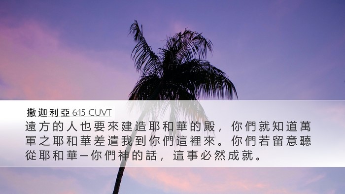 撒 迦 利 亞 6:15 CUVT Bible Verse Image