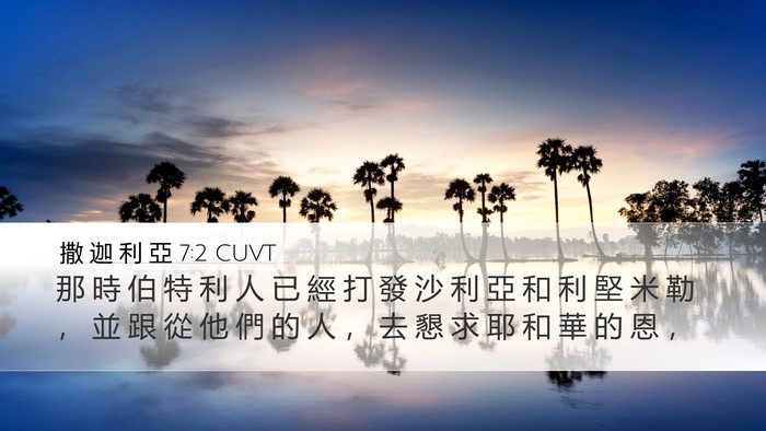 撒 迦 利 亞 7:2 CUVT Desktop Wallpaper - 那 時 伯 特 利 人 已 經 打 發 沙 利 - Desktop Bible Verse Wallpaper