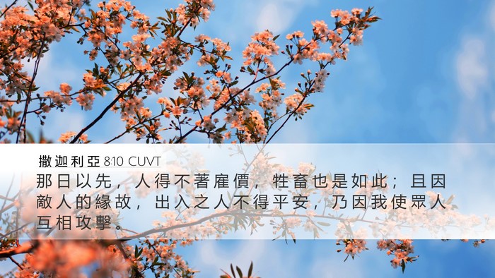 撒 迦 利 亞 8:10 CUVT Bible Verse Image