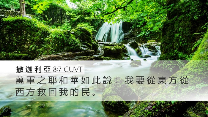 撒 迦 利 亞 8:7 CUVT Bible Verse Image