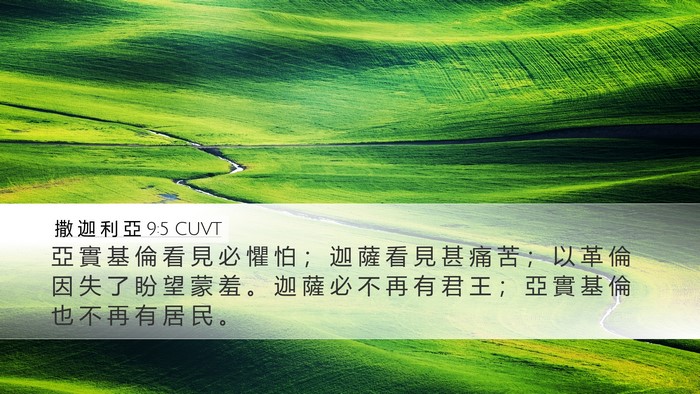 撒 迦 利 亞 9:5 CUVT Bible Verse Image