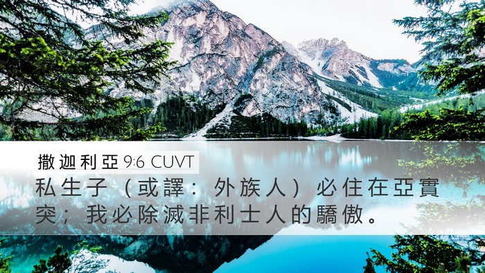 撒 迦 利 亞 9:6 CUVT Desktop Wallpaper - 私 生 子 （ 或 譯 ： 外 族 人 ） 必 - Desktop Bible Verse Wallpaper