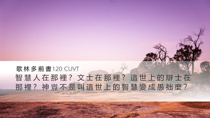 歌 林 多 前 書 1:20 CUVT Bible Verse Image